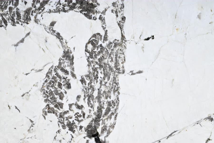 Close-up of an Alpinus stone surface: a bright white ground crossed by fine hairline veins, with a dense cluster of dark grey and charcoal mineral fragments running through the left of the frame.