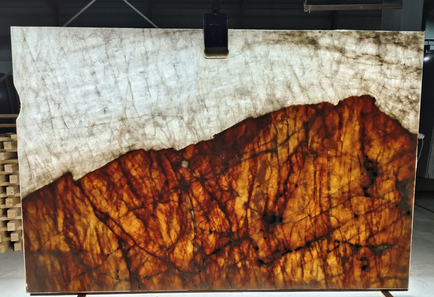 Patagonia — the slab lit from behind so the translucency and vein structure read through the stone.